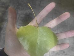 -西南林业大学(白龙校区)