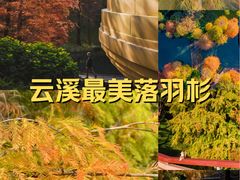 -云溪植物园