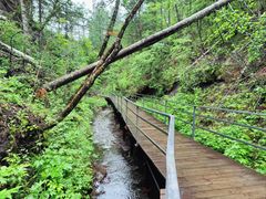 -峡谷浮石林景区