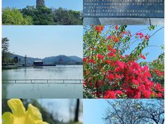 -顺峰山公园