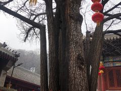 -红螺寺