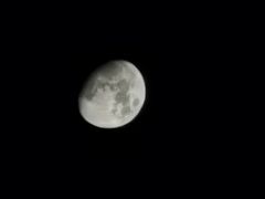 -LELECHA乐乐茶(新街口大洋店)