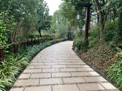 -天目湖涵田半山温泉