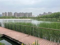 -滨湖塘西河公园
