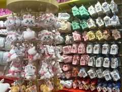 -line friends(明洞旗舰店)