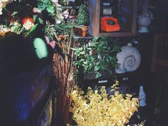 -胡桃里音乐酒馆(白云五号T5 MALL店)