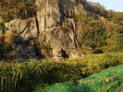 -金鸡山公园
