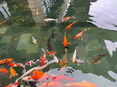 -三亚湾海居雅高铂尔曼度假酒店