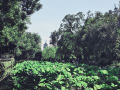 -拙政园
