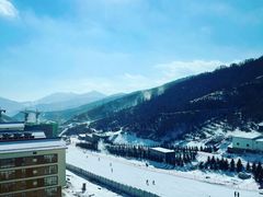 -密苑云顶乐园(云顶滑雪场)