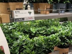 -鹿岛生活(熙地港店)