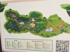 -西双版纳原始森林公园