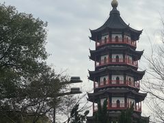-绳金塔