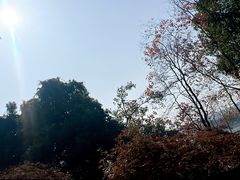 -东湖落雁景区