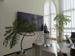 -JNK皮肤管理中心