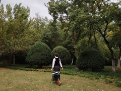-天鹅湖体育公园