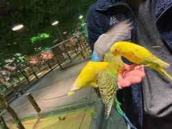 -酷嗒动物文化乐园(cutezoo西溪乐天城店)