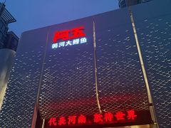 -阿五黄河大鲤鱼(英协路店)