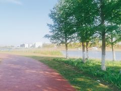 -春花秋色城市公园