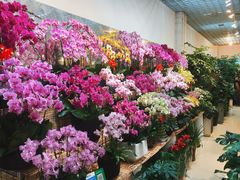 -双季花艺园艺市场(浦东店)