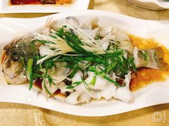 功夫鲈鱼-廣發美食(东晓路店)