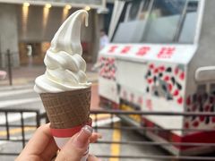 -富豪雪糕车流动点(尖沙咀店)