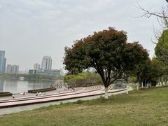 -月湖风景区