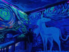 -深圳独角兽星空艺术馆