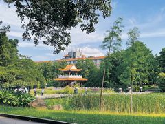 -东山湖公园