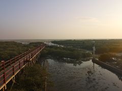 -北海金海湾红树林生态旅游区