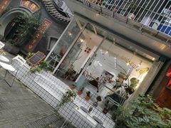 -泡桐树街