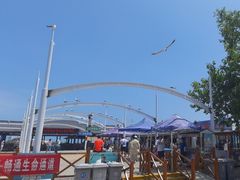 -海驴岛(荣成市)