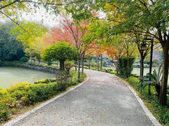 -朴园
