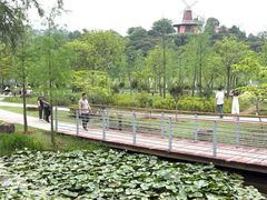 -东莞植物园