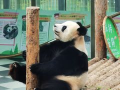 -大连森林动物园