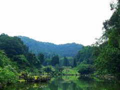 -深圳仙湖植物园