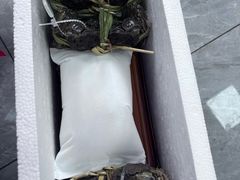 -蟹状元大闸蟹·年货·粽子(成都成华店)