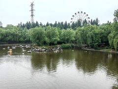 -清凉山国家森林公园