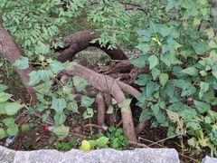 -井塘古村