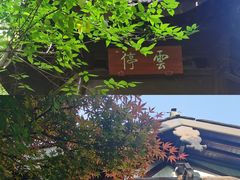 -杭州半山国家森林公园