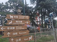 -国色天乡三期陆地乐园