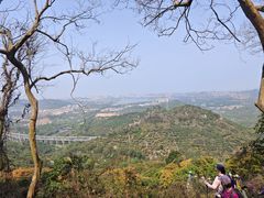 -东莞市大岭山森林公园