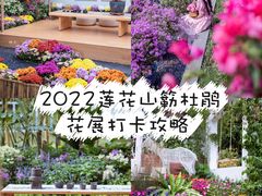 -莲花山公园