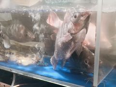 -喜庭海鲜自助(佛山王府井店)