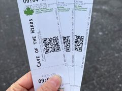 -尼亚加拉瀑布州立公园