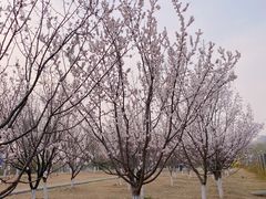 -太阳宫公园