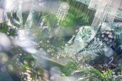 -素格婚礼