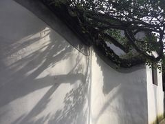 -秋霞圃