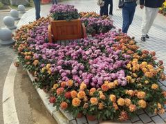 景点-武汉紫薇都市田园