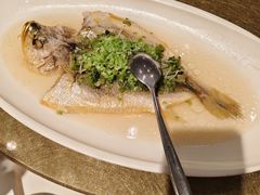 -上海总会SHANGHAICLUB(兴业太古汇店)